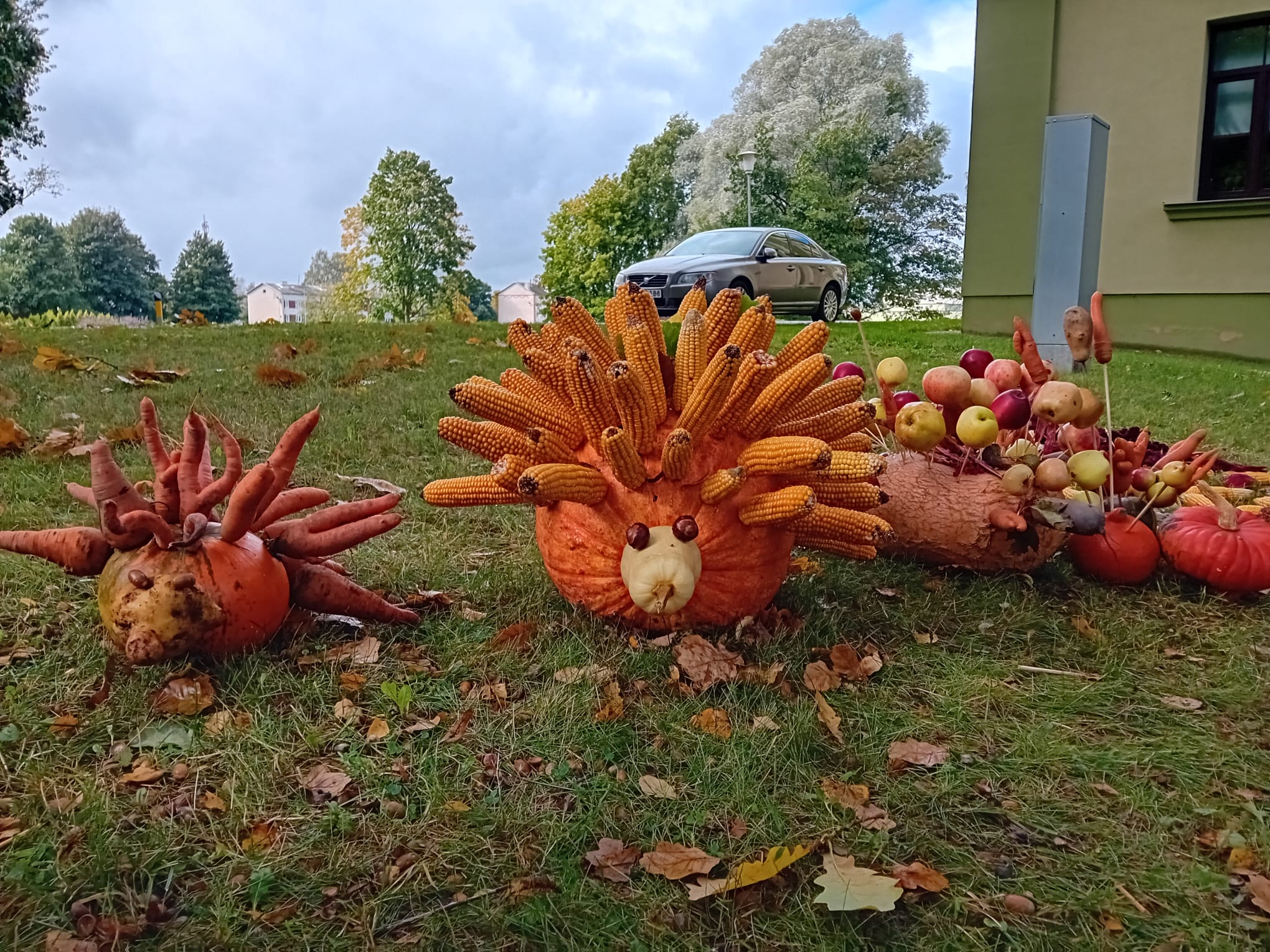 Eži