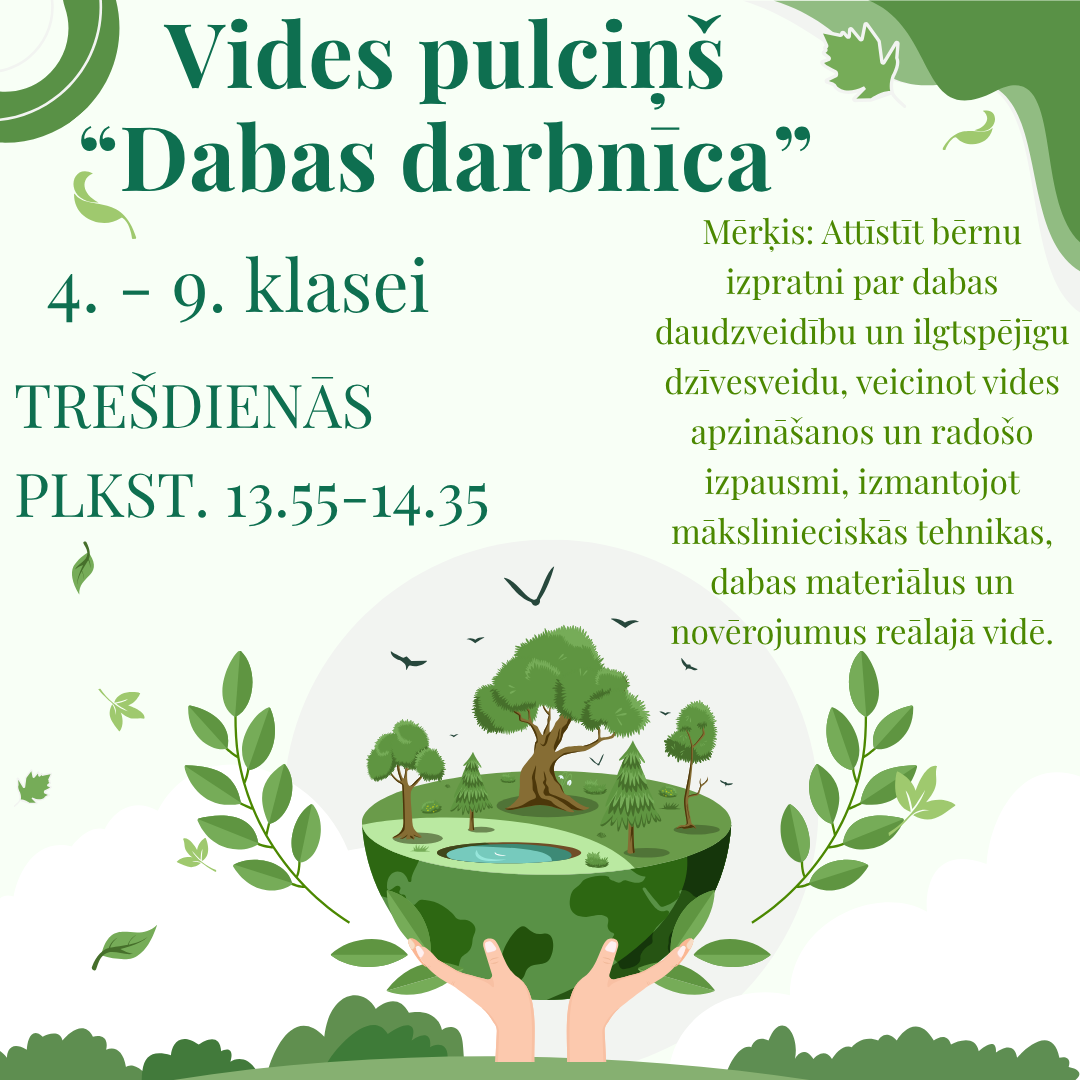 Vides pulciņš